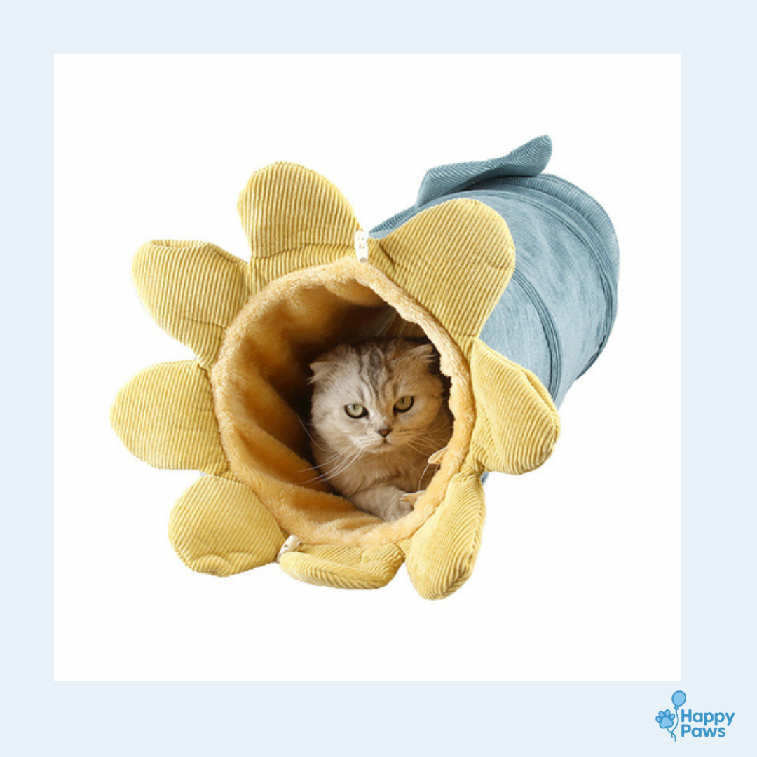 Funny Fruit Tunnel – Tunnel de Jeu Fruité