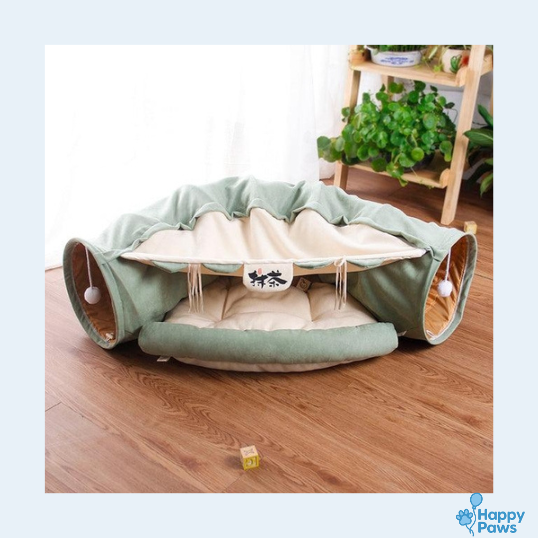 Feline Funhouse – Tunnel Interactif pour Chats