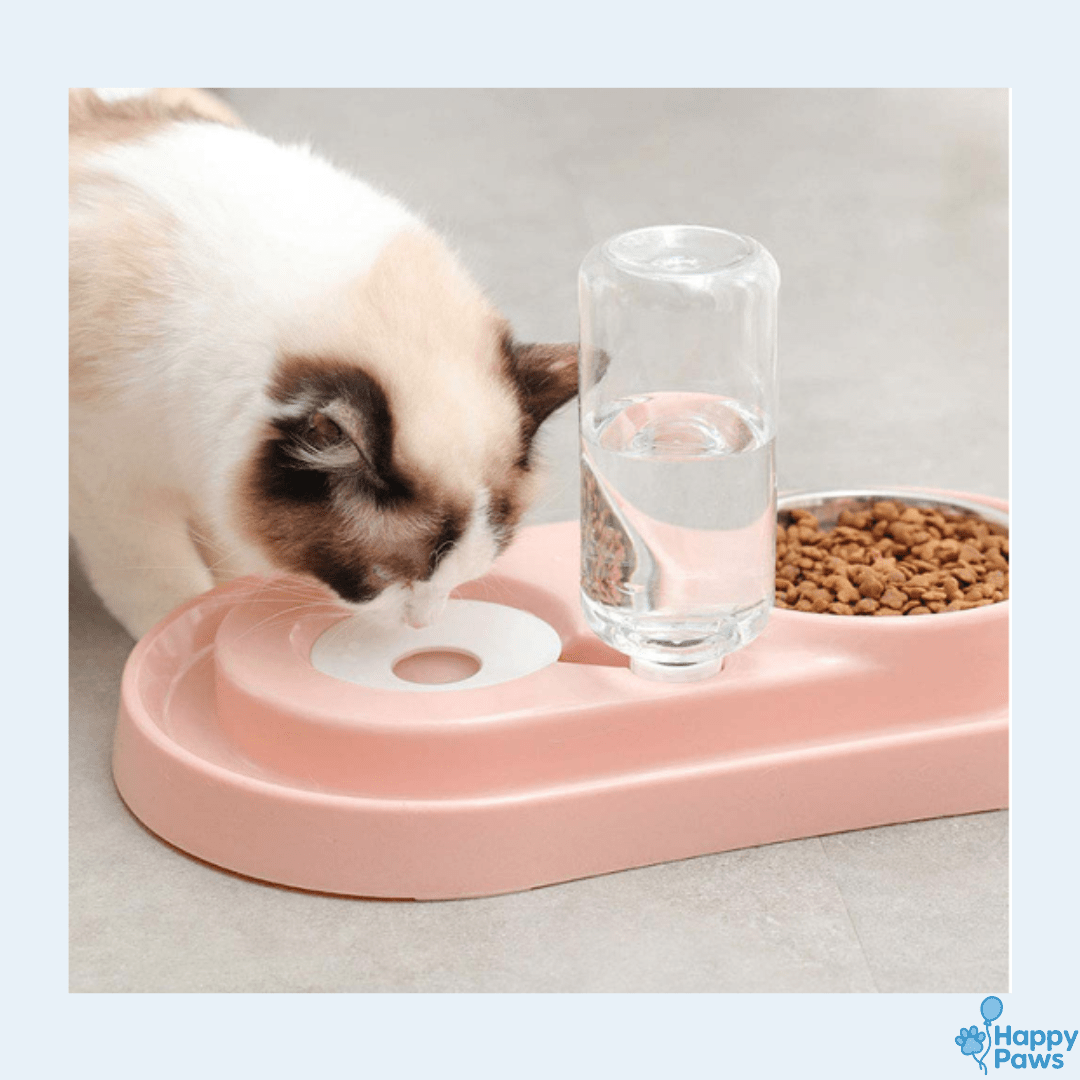 Smart Duo Bowl – Gamelle & Fontaine 2 - en - 1 - HappyPaws