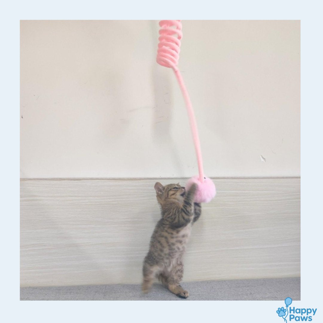 Bunny Spring Toy – Jouet Lapin à Ventouse