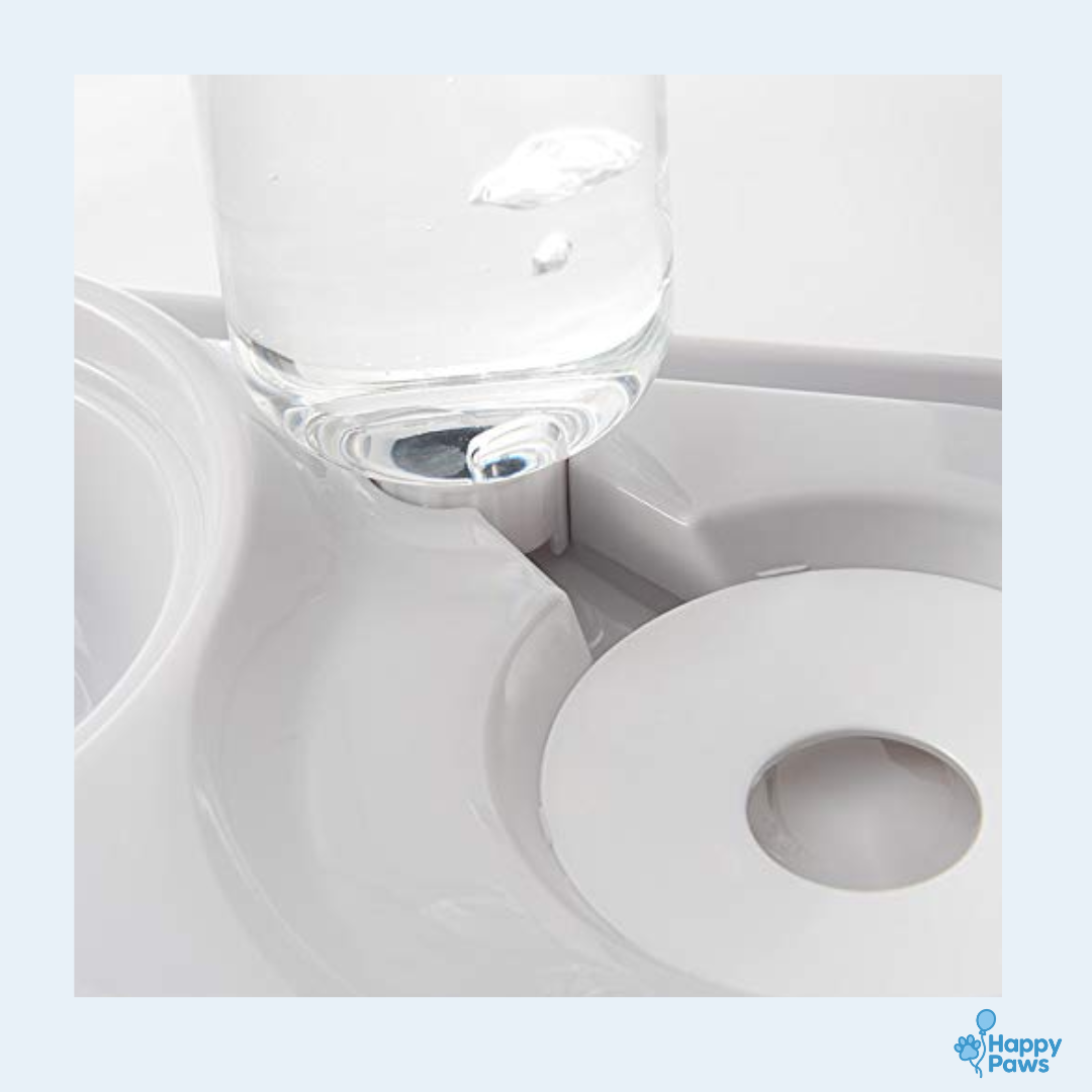 Smart Duo Bowl – Gamelle & Fontaine 2-en-1