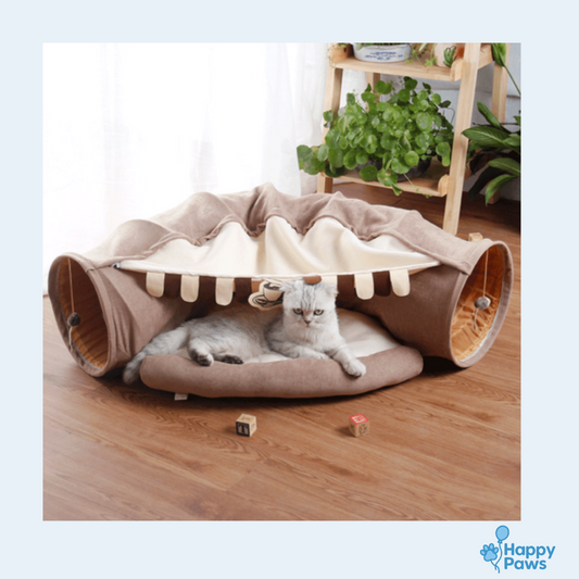 Feline Funhouse – Tunnel Interactif pour Chats