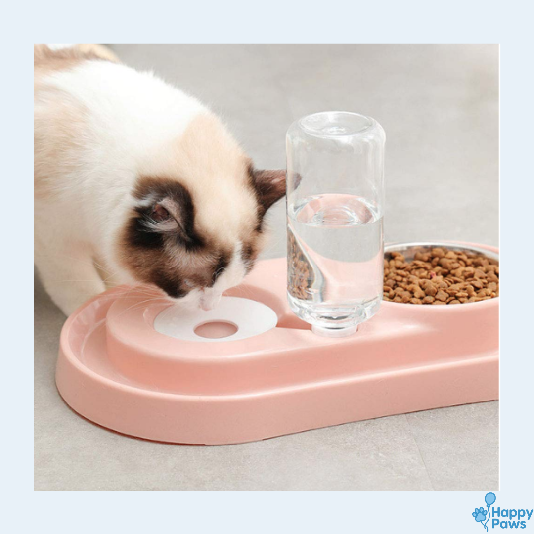 Smart Duo Bowl – Gamelle & Fontaine 2-en-1