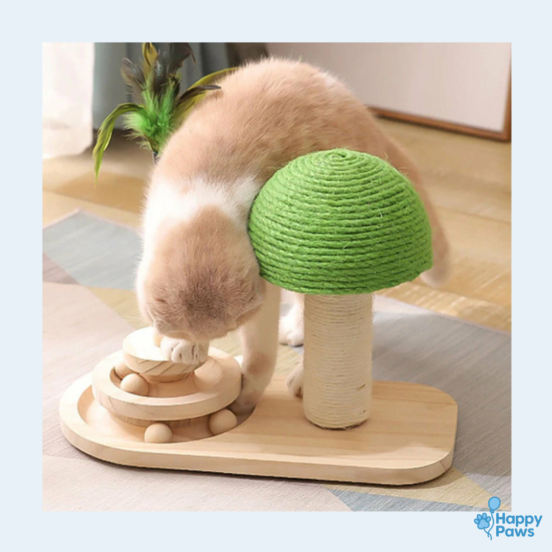 Play & Scratch Tree – Arbre à Griffer avec Jouet