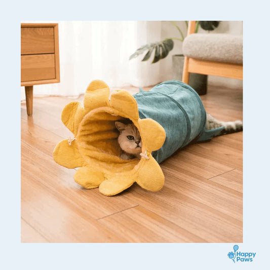 Funny Fruit Tunnel™ – Fruity Cat Play Tunnel
