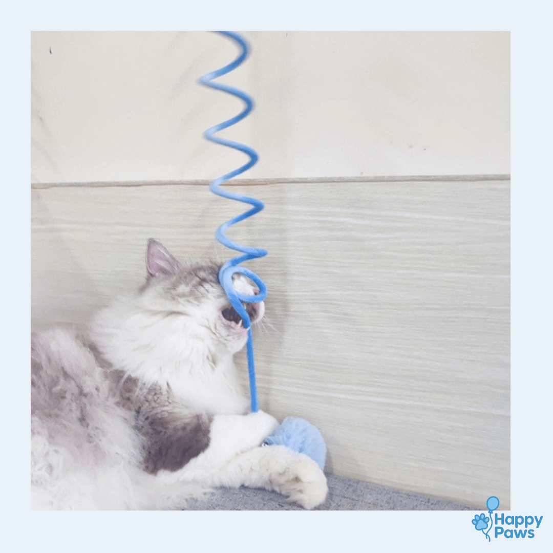 Bunny Spring Toy – Jouet Lapin à Ventouse - HappyPaws