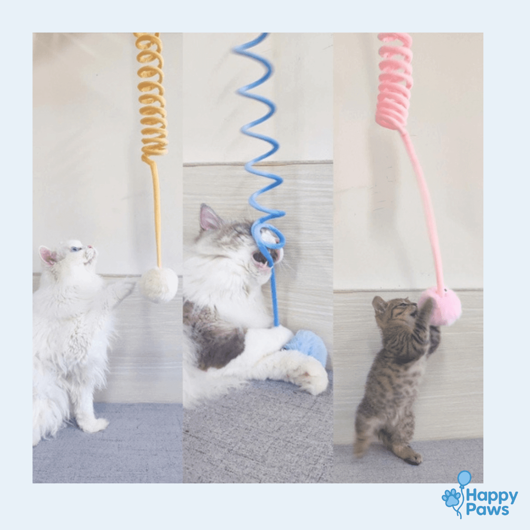 Bunny Spring Toy – Jouet Lapin à Ventouse - HappyPaws