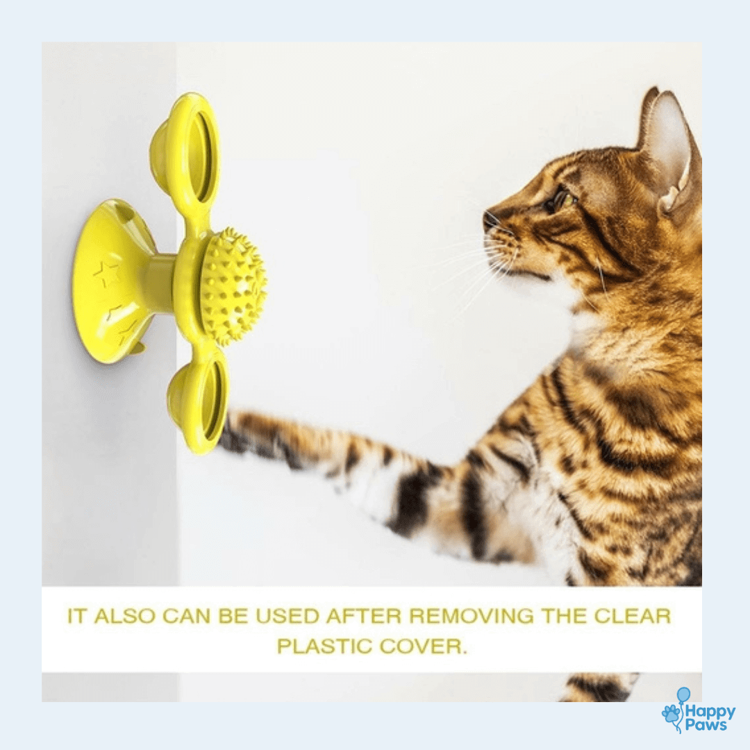 Cats Whirling LED Balls – Fun & Interactive Toy for Cats - HappyPaws