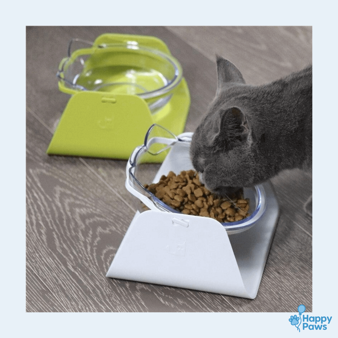 Comfort Feeder – Gamelle Surélevée pour Confort Digestif - HappyPaws