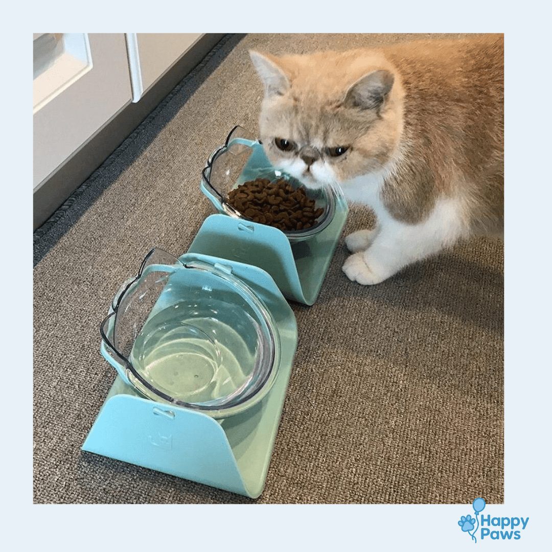 Comfort Feeder – Gamelle Surélevée pour Confort Digestif - HappyPaws