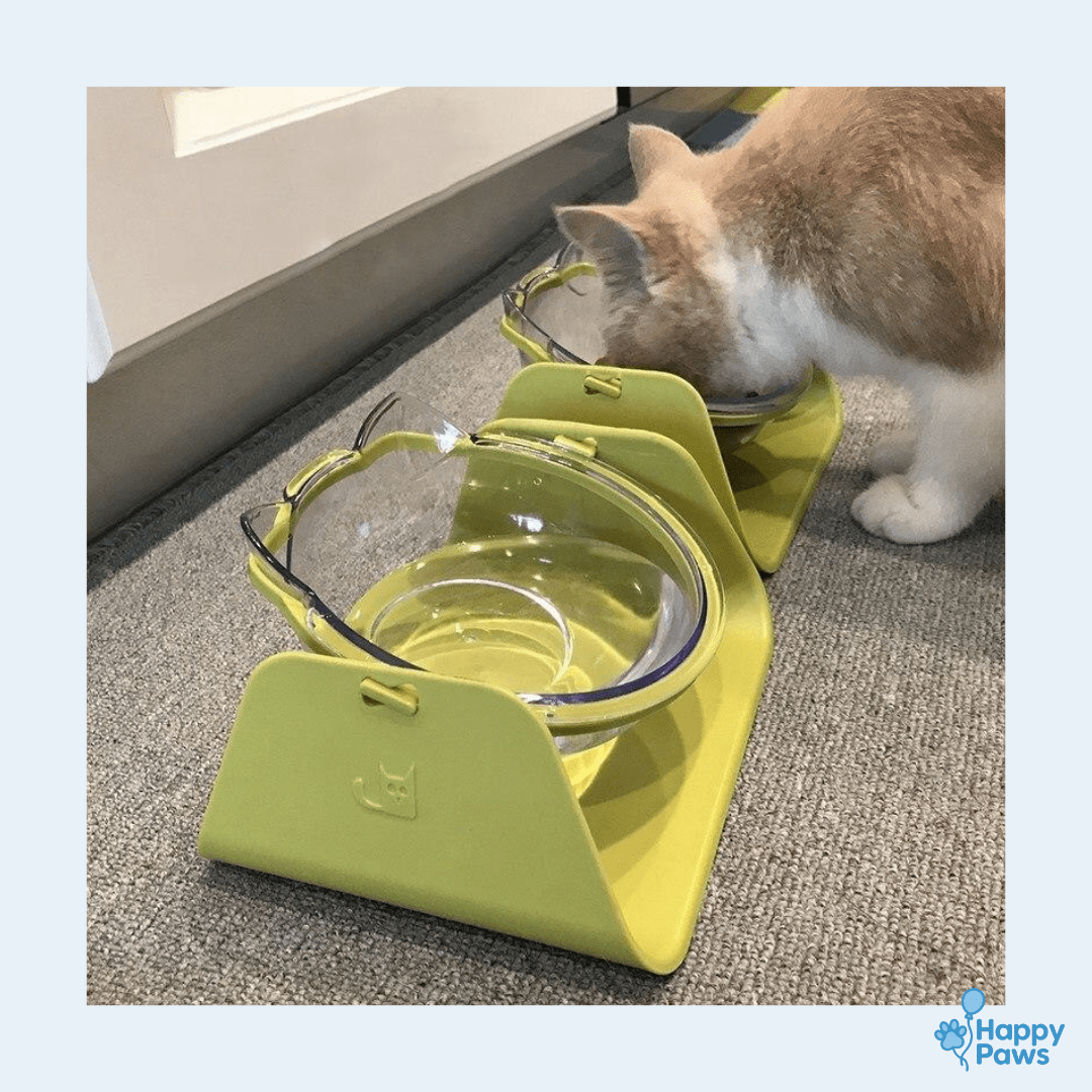 Comfort Feeder – Gamelle Surélevée pour Confort Digestif - HappyPaws