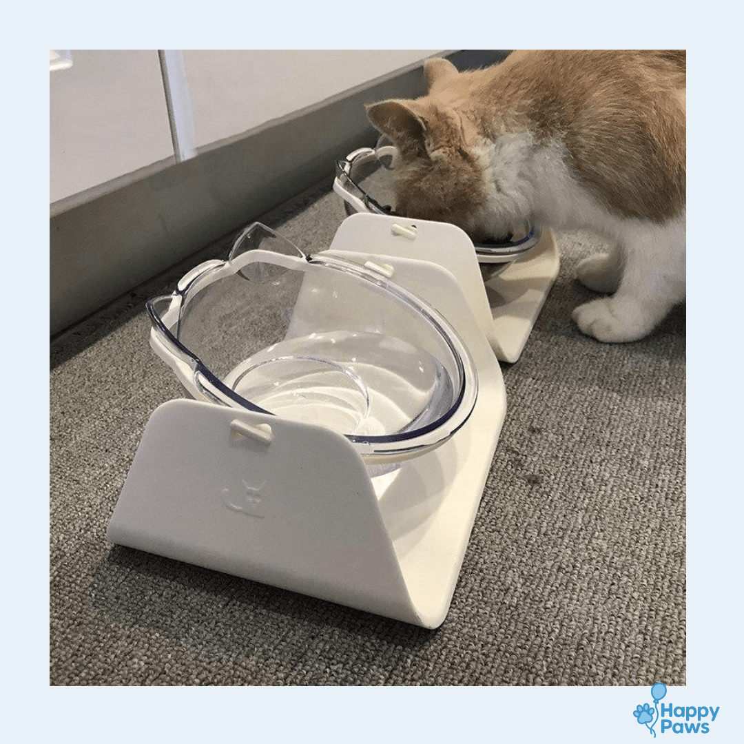 Comfort Feeder – Gamelle Surélevée pour Confort Digestif - HappyPaws