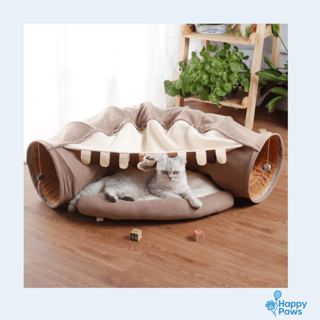 Feline Funhouse – Tunnel Interactif pour Chats - HappyPaws