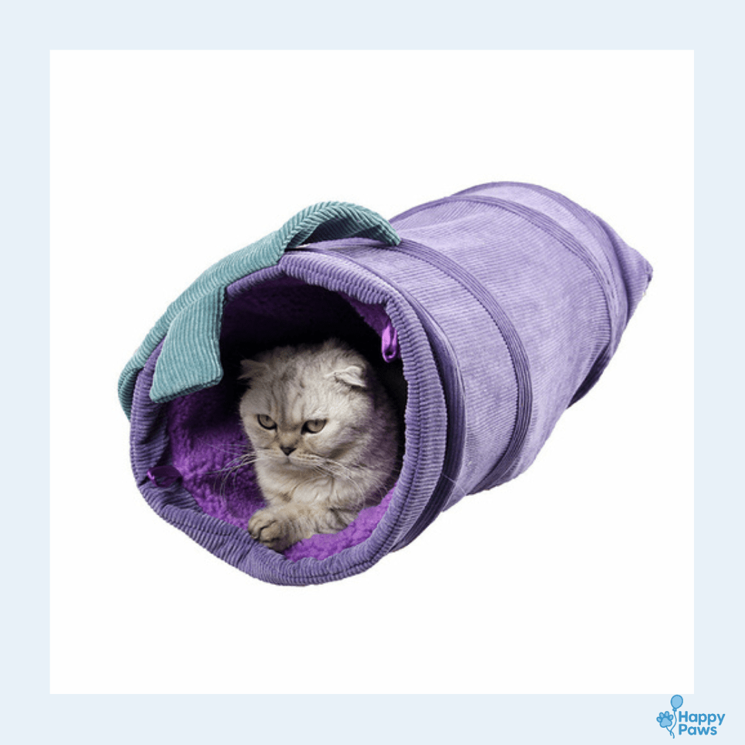 Funny Fruit Tunnel – Tunnel de Jeu Fruité - HappyPaws