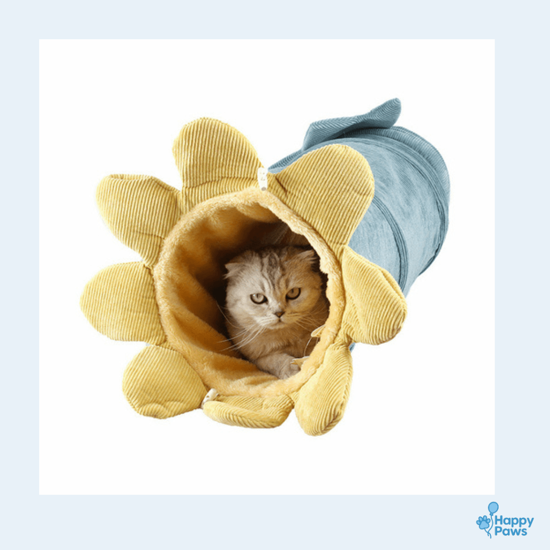 Funny Fruit Tunnel – Tunnel de Jeu Fruité - HappyPaws