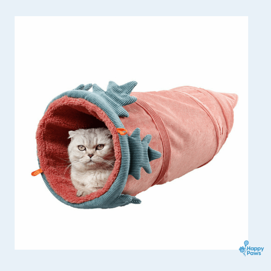 Funny Fruit Tunnel – Tunnel de Jeu Fruité - HappyPaws