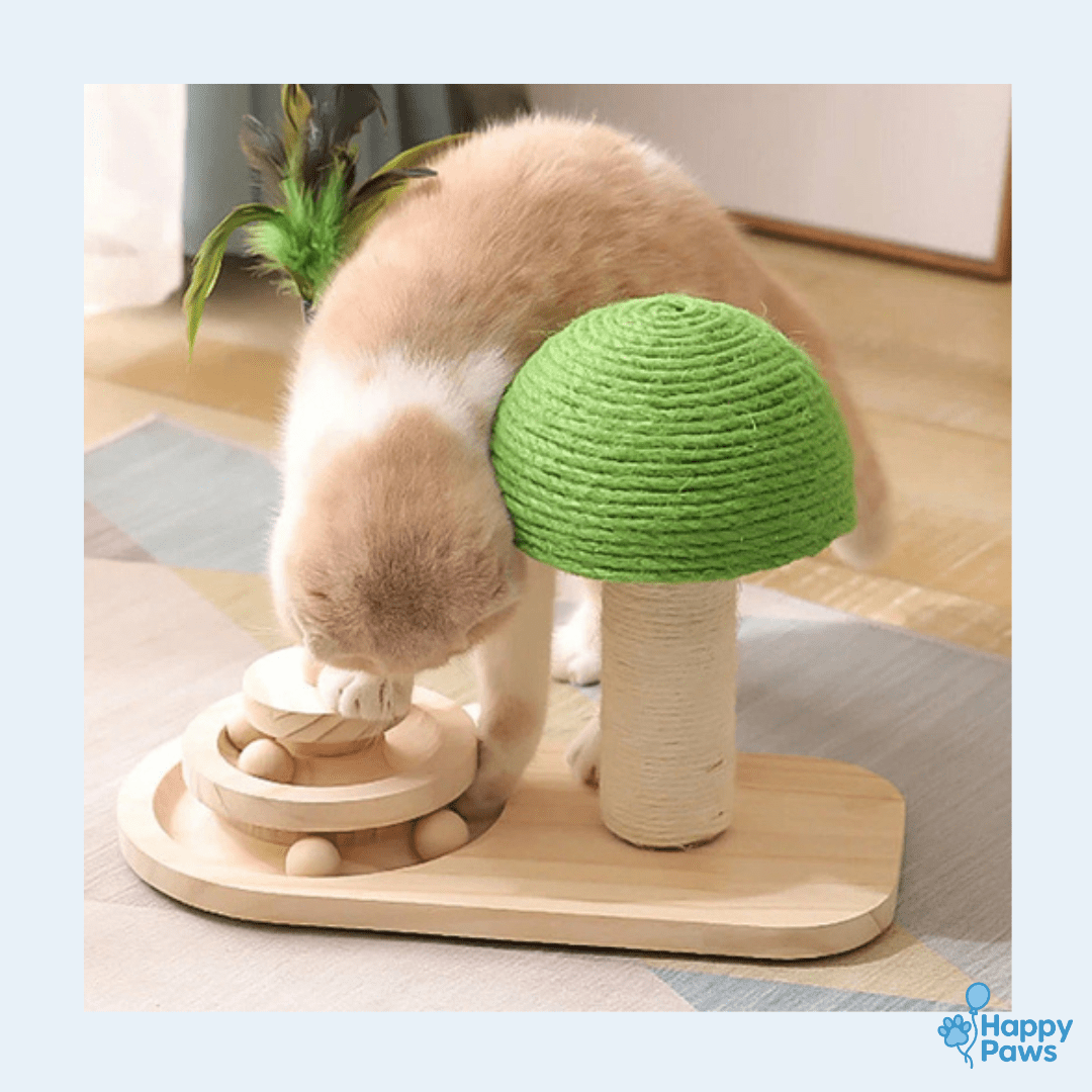 Play & Scratch Tree – Arbre à Griffer avec Jouet - HappyPaws