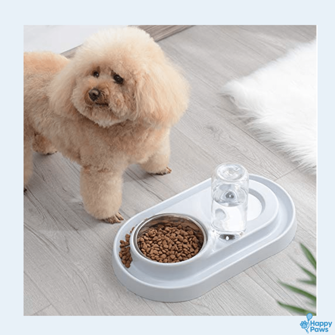 Smart Duo Bowl – Gamelle & Fontaine 2 - en - 1 - HappyPaws